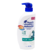 圖片 Head & Shoulders 海倫仙度絲 去屑洗髮乳 止癢呵護 750 ml